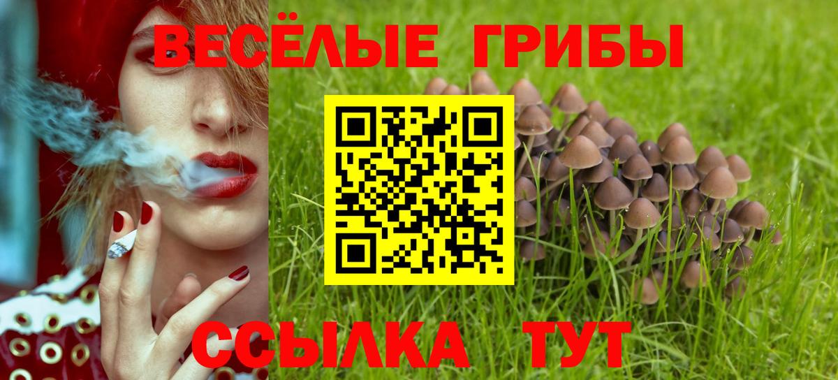Калуга  Галлюциногенные грибы ЛСД  где купить наркотик  Вход с VPN 